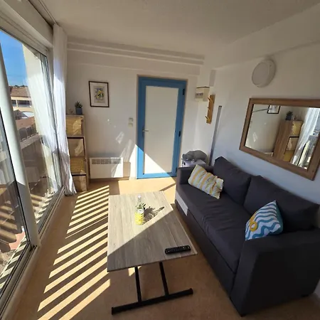 Avec Piscine 2-4 Personnes A Deux Pas Du Port Apartman Agde