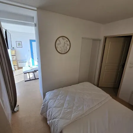 Avec Piscine 2-4 Personnes A Deux Pas Du Port Apartman Agde